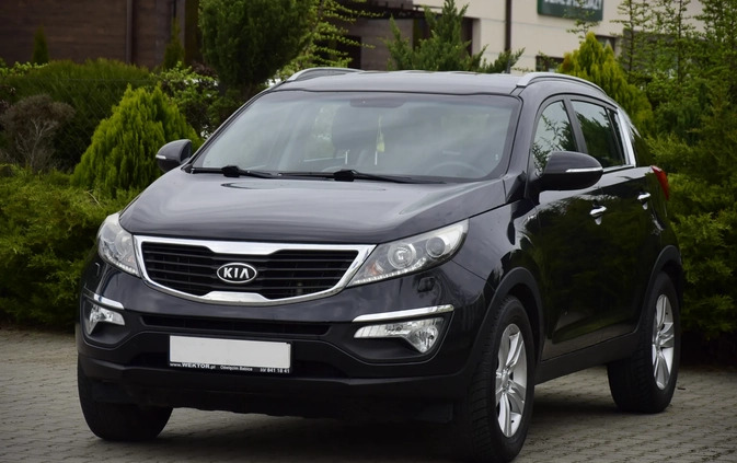 Kia Sportage cena 44800 przebieg: 239000, rok produkcji 2012 z Żuromin małe 352